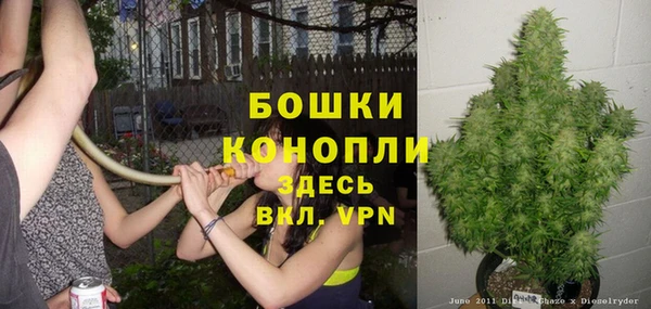 первитин Няндома