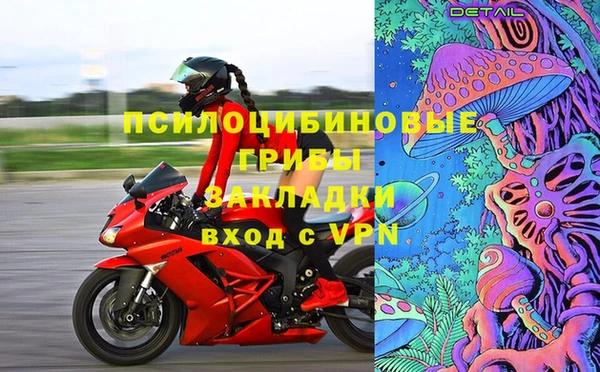 гидра Алексин